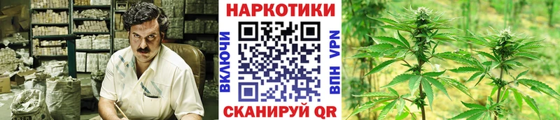 Купить закладку Обоянь Галлюциногенные грибы  МЕГА tor  АМФЕТАМИН  Марихуана  Меф  Кодеин  ГАШИШ  COCAIN 